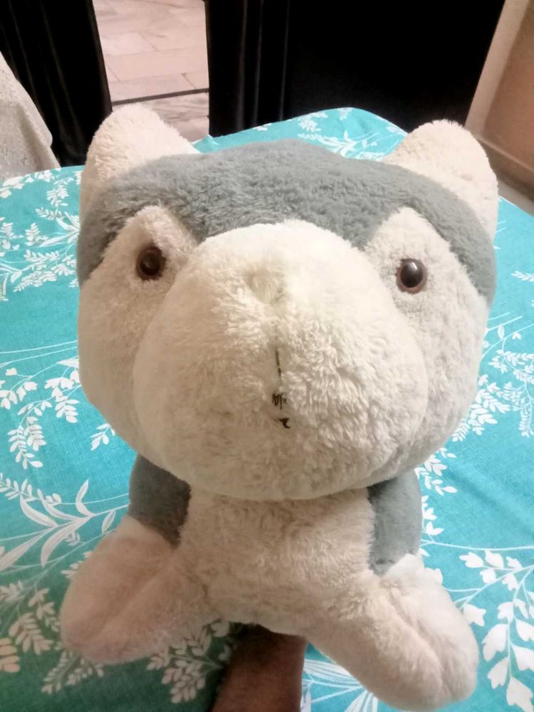 A Big Cat Soft Toy..It&#39;s Like. New ...