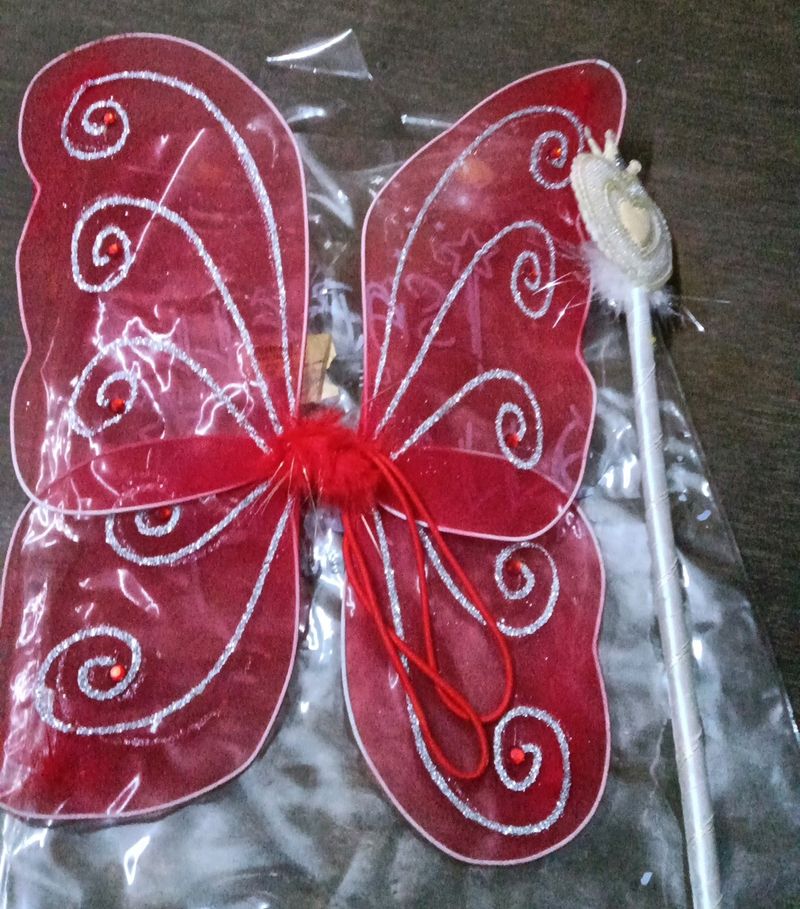 Fairy Wing Used With A Little Flaw