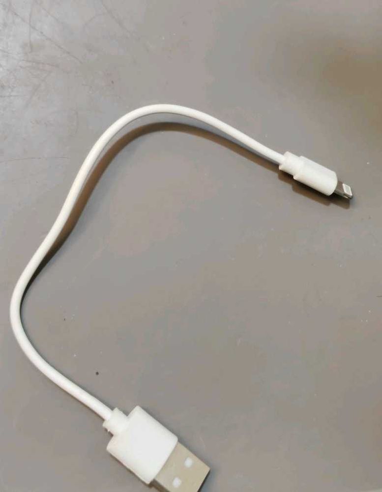 Old Type &amp; Iphone charger