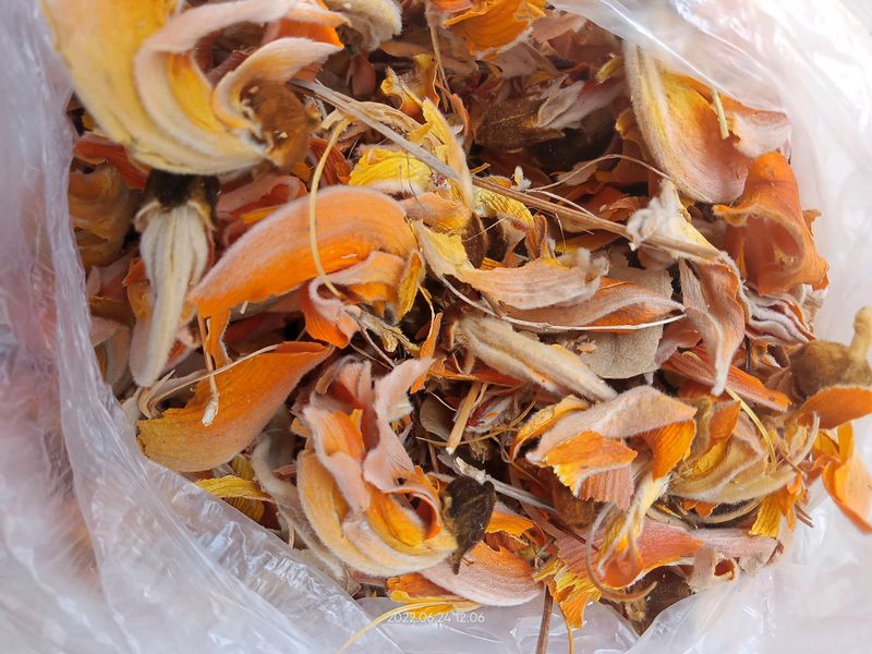 kesuda Flower for Skin hydration