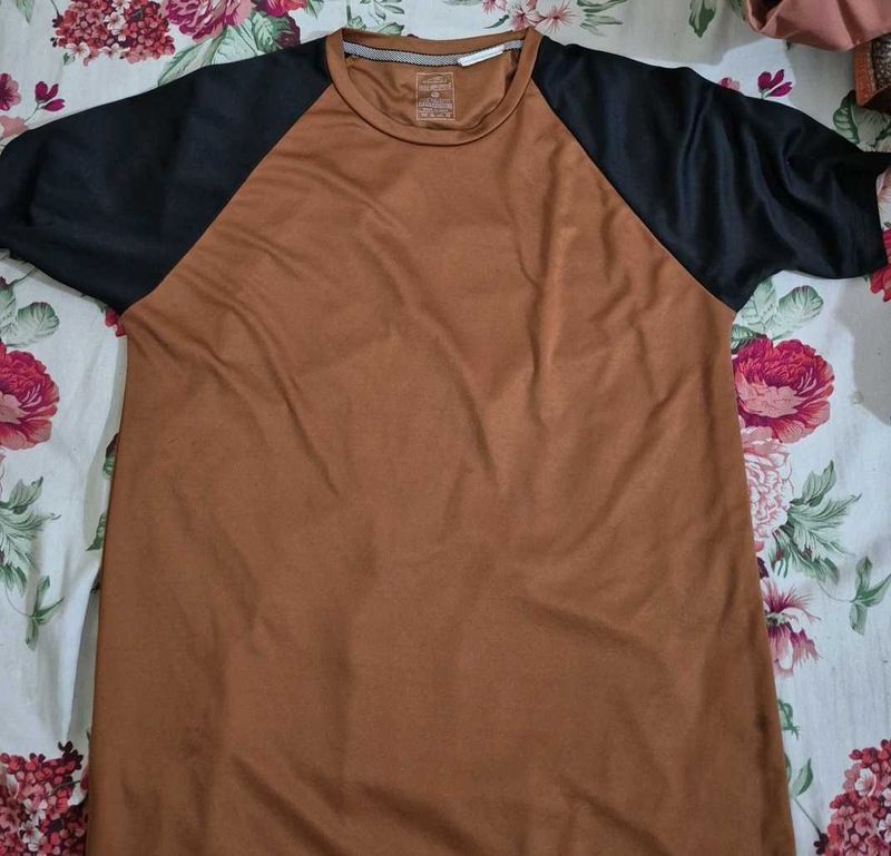 Brown &amp; Black Casual T-Shirt