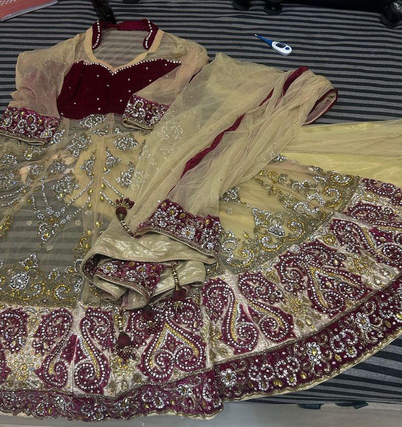 Gorgeous Lehenga Choli