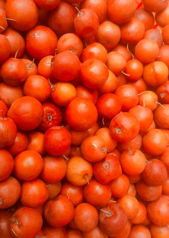 Dry Indian jujube/ Indian plum