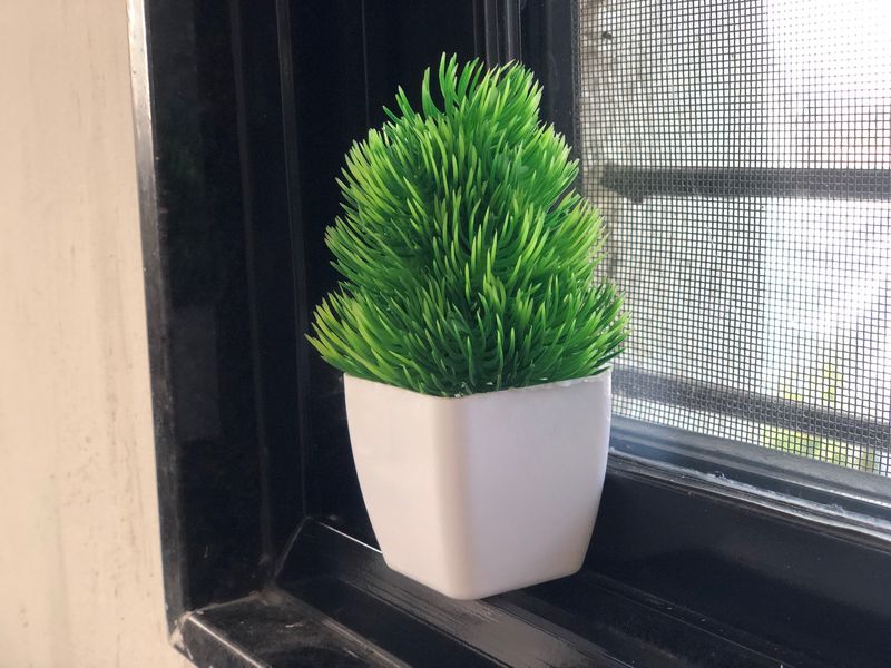 Small Tree Pot For Home Decoration ❤️