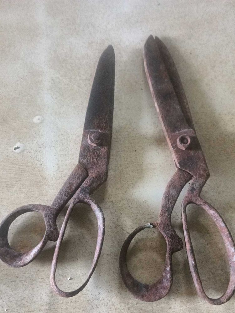 Old Scissors ✂️. Vintage