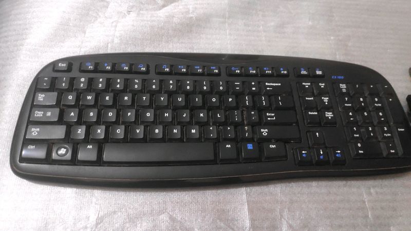 Logitech Wireless EX-100 with Receiver