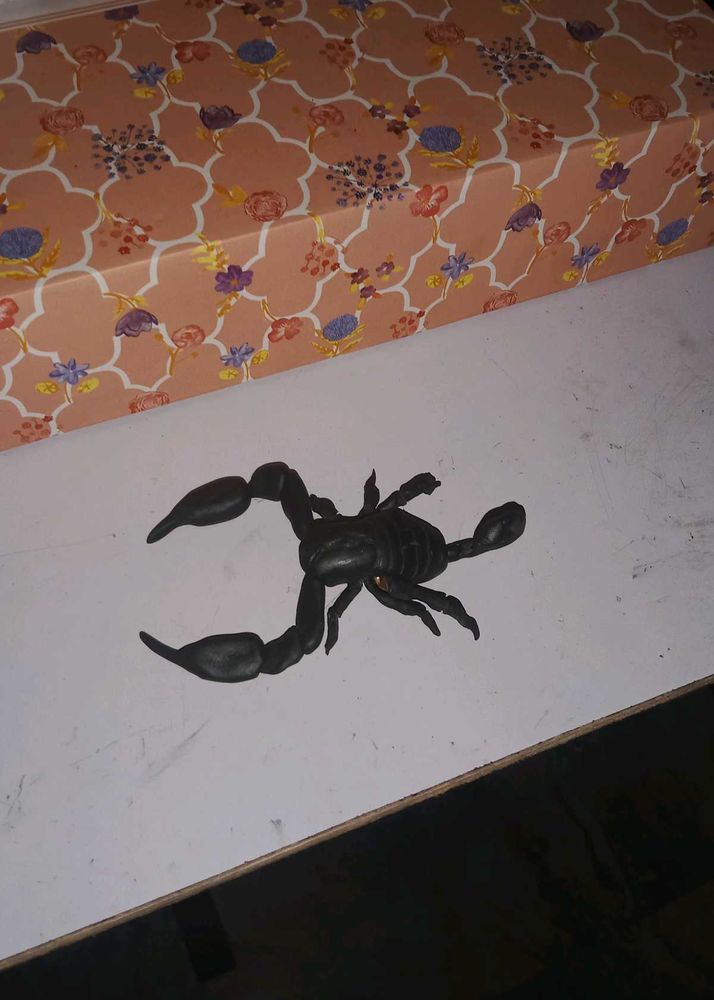 Black Scorpion Showpiece Specimen Room Decor