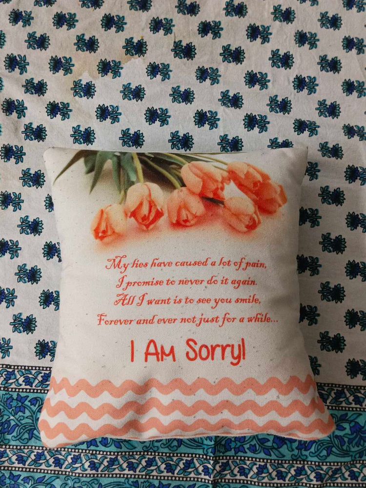 I Am Sorry Pillow | Small Cushion