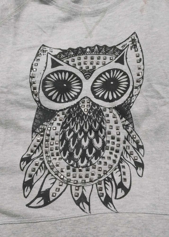 Owl Sweatshirt Grey Colour