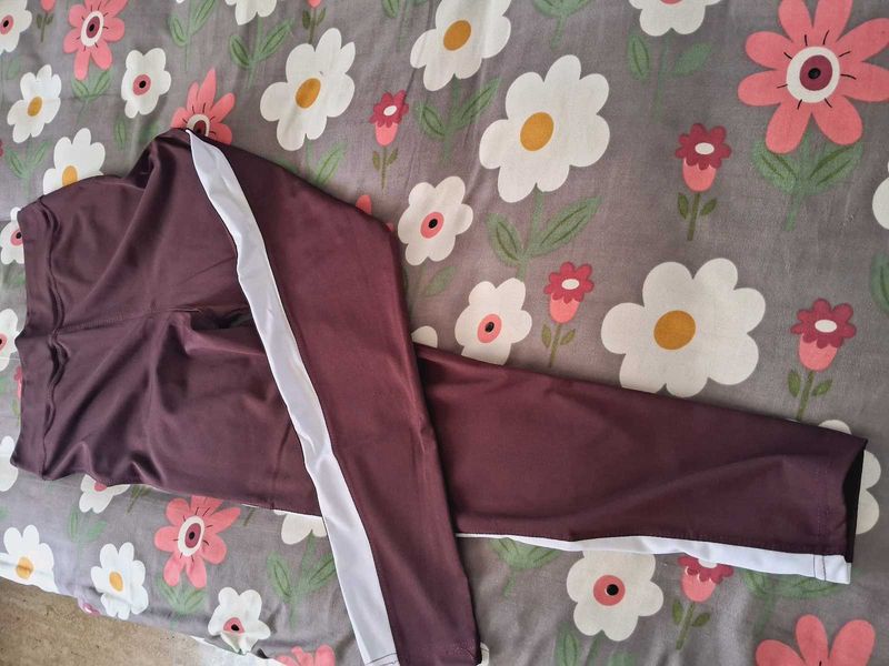 Gym Wear Ankle Fit Pant