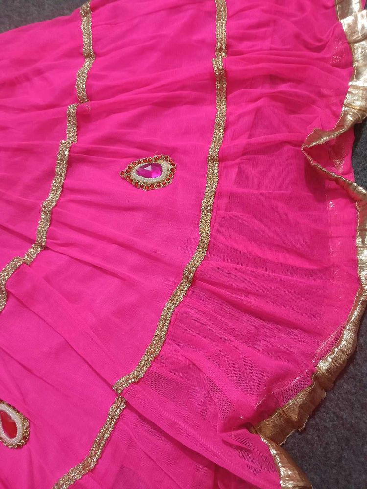 Pink Embellished Lehenga