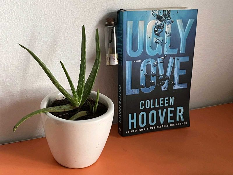 Ugly Love: A Novel