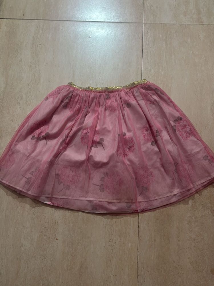 Allen Solly Original Pink Tutu Skirt