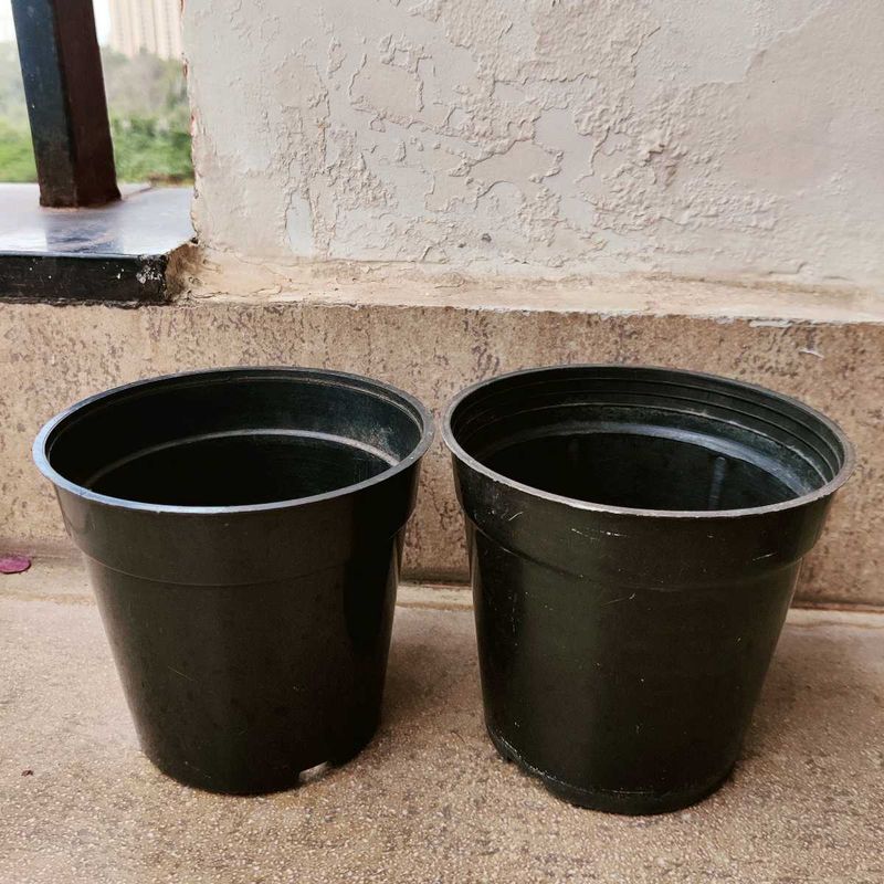 Nursery Pots For Plants