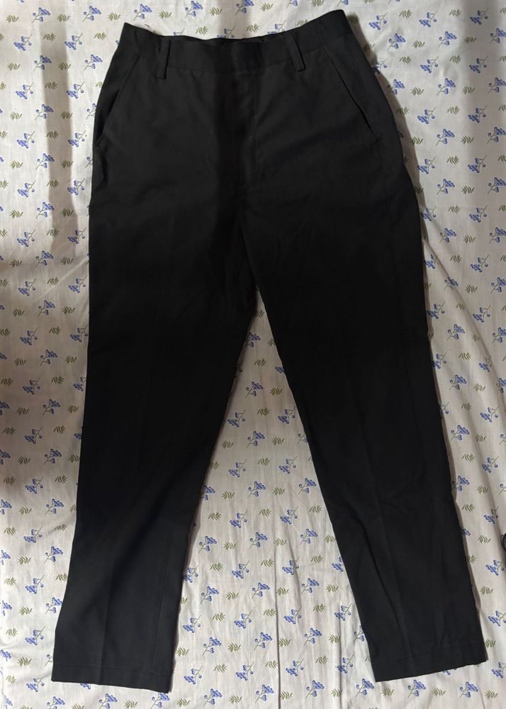 Tapered Pants