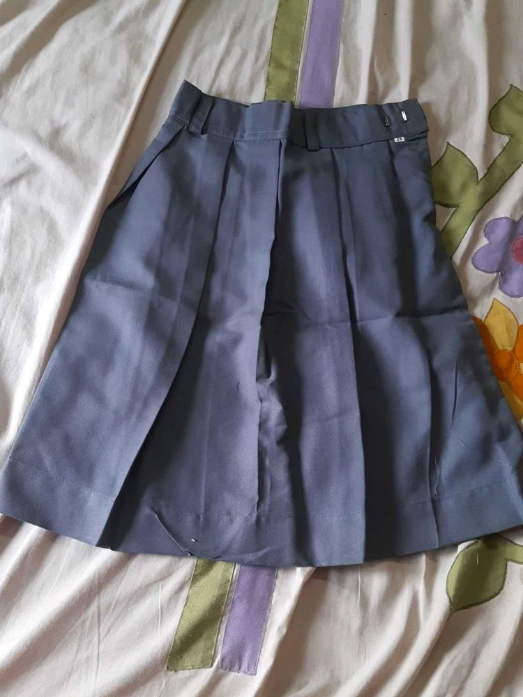 Pleated Blue Skirt