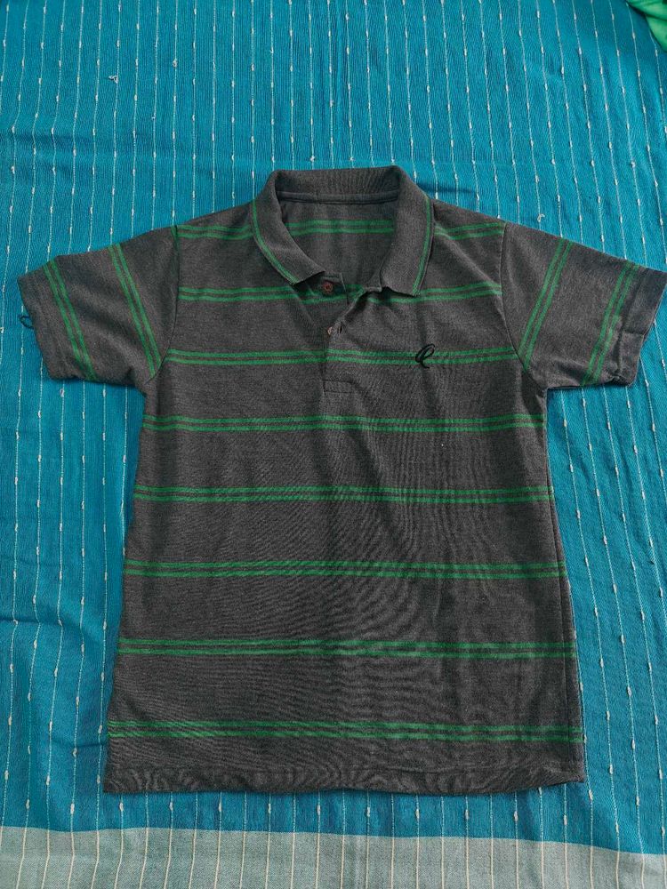 Striped Polo T-Shirt