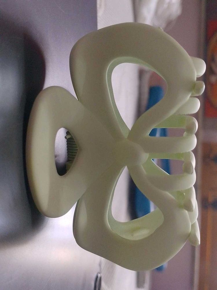 Light Green Hair Claw Clip