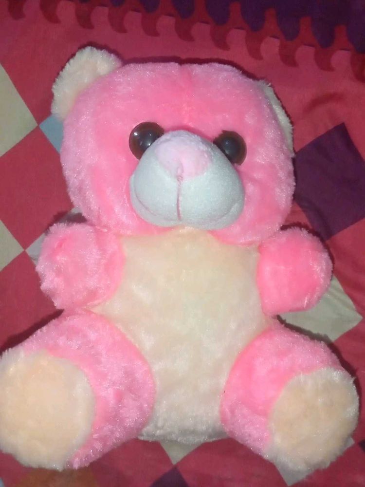 A72 Cute Birthday Gift Teddy Bear