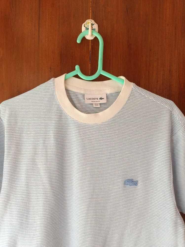 Lacoste T Shirt For Men