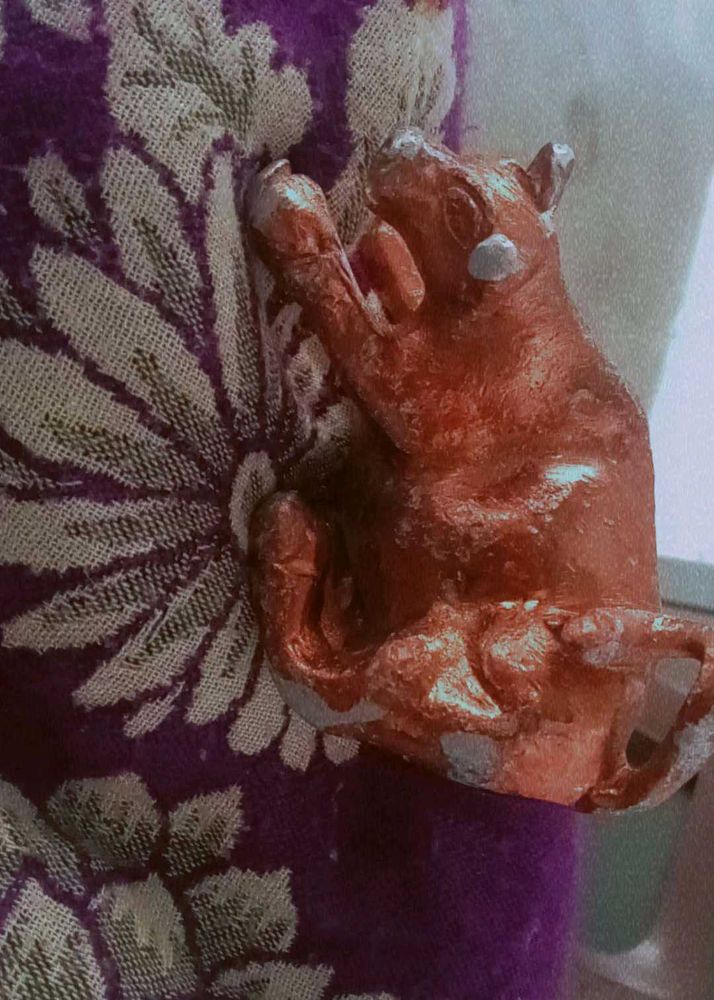 Almoniyam Cow