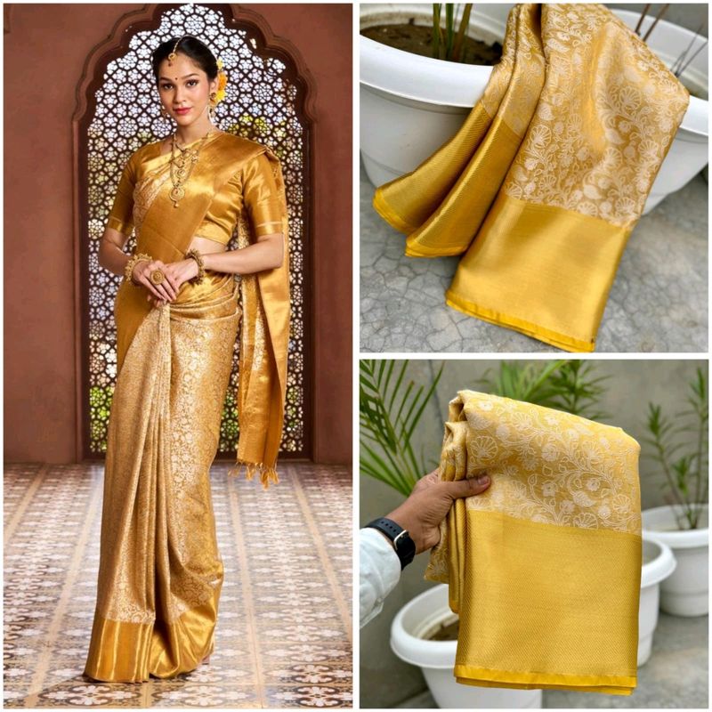 Golden Jari Silk Saree