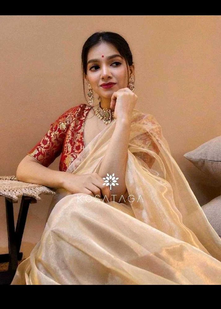 Organza Beige Saree