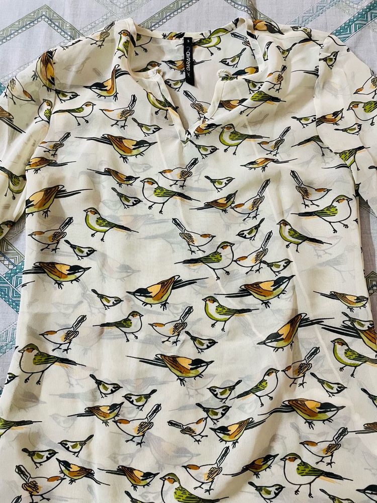 Charming Bird Print Sheer V-Neck Blouse Top