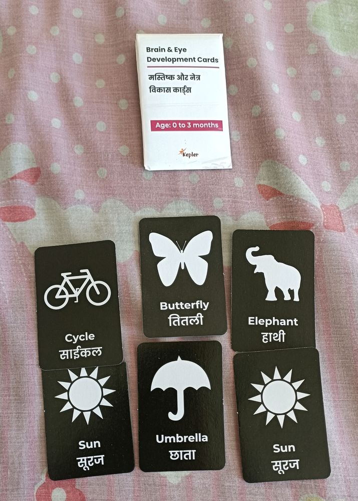 Eye And Brain Development Cards