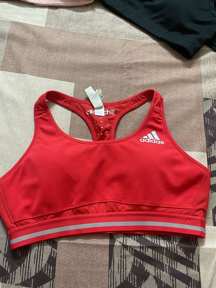 Sports Bra