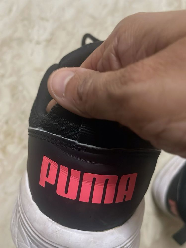 Puma Gray Sneakers