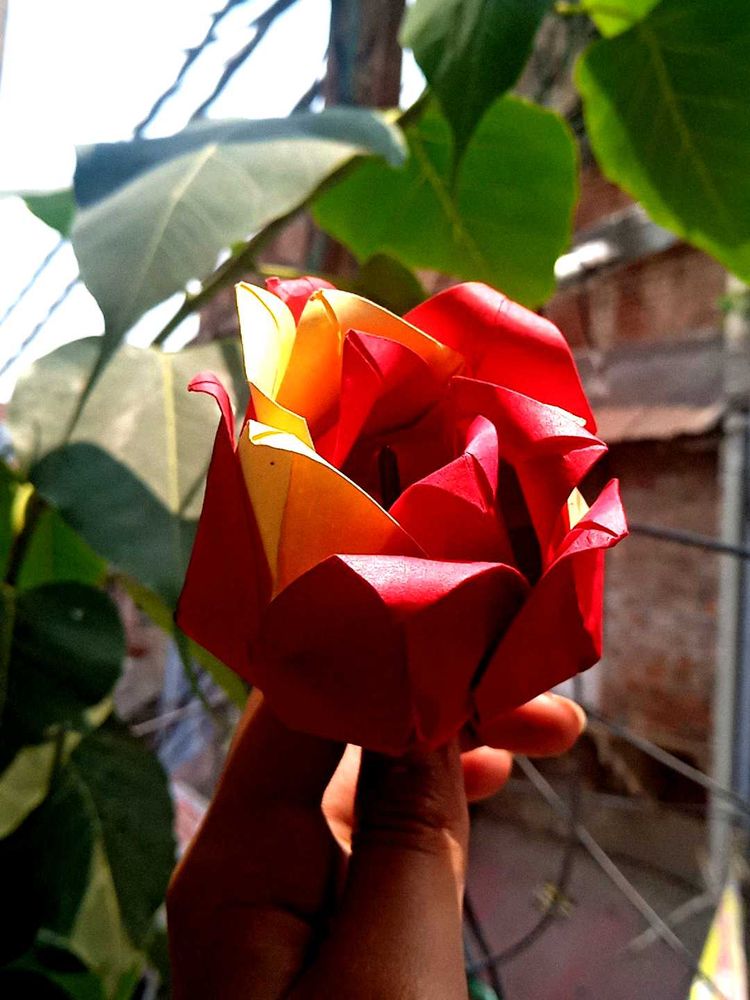 Paper Rose 🌹
