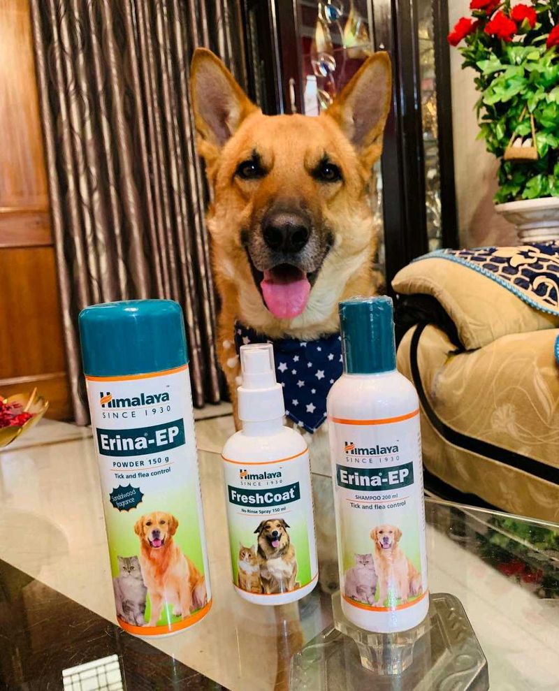 Dog , Cat  Himalayan Tick And Flea Control Powder