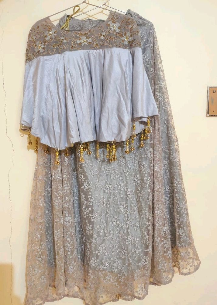 Shimmery Lehenga Choli ☺️✨🎉
