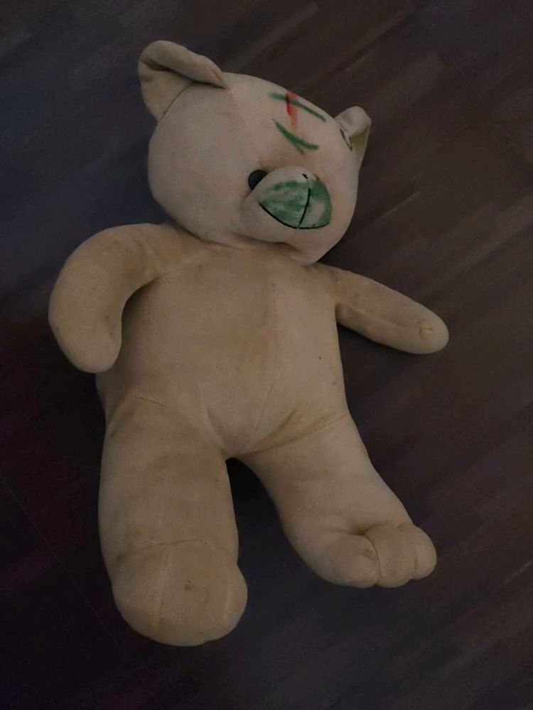 Teddy Bear