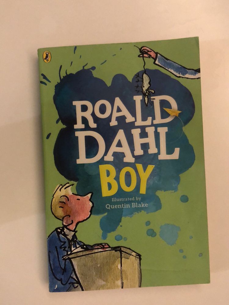 Ronald Dahl Book- The Boy