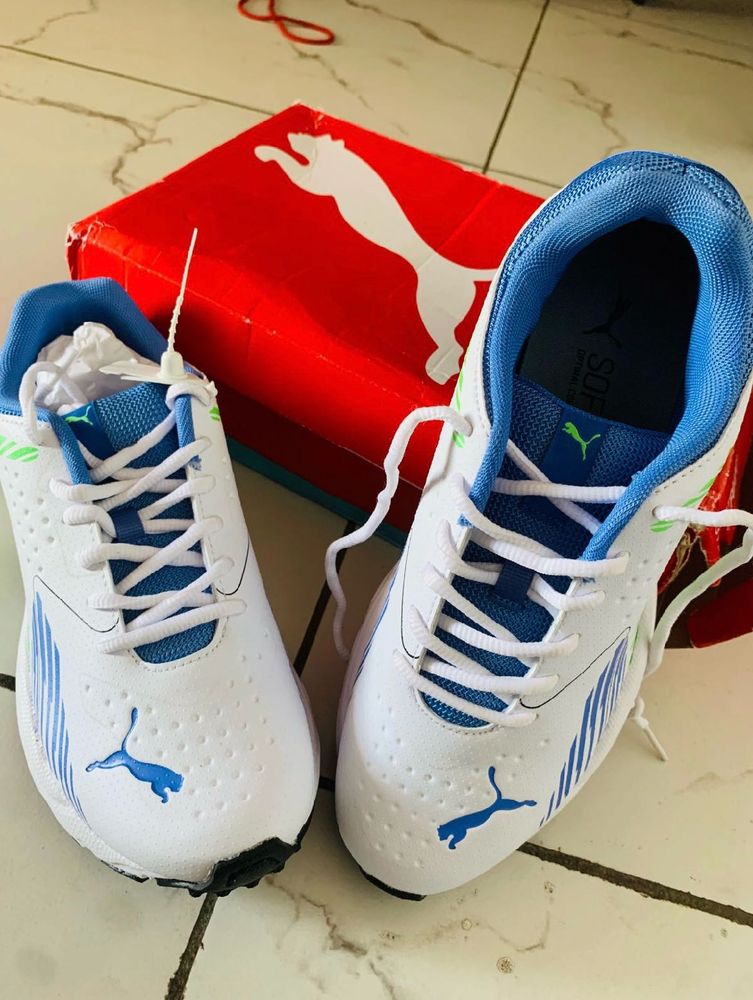 Puma Cricket Shoes -  New