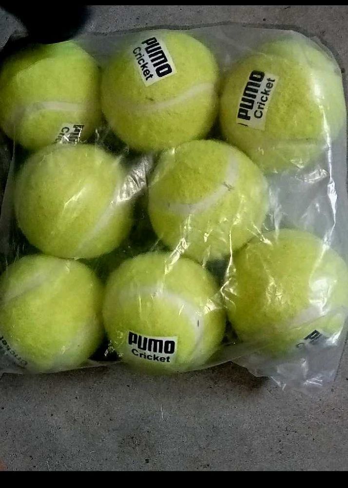 Green Tennis Ball Pack Of 8