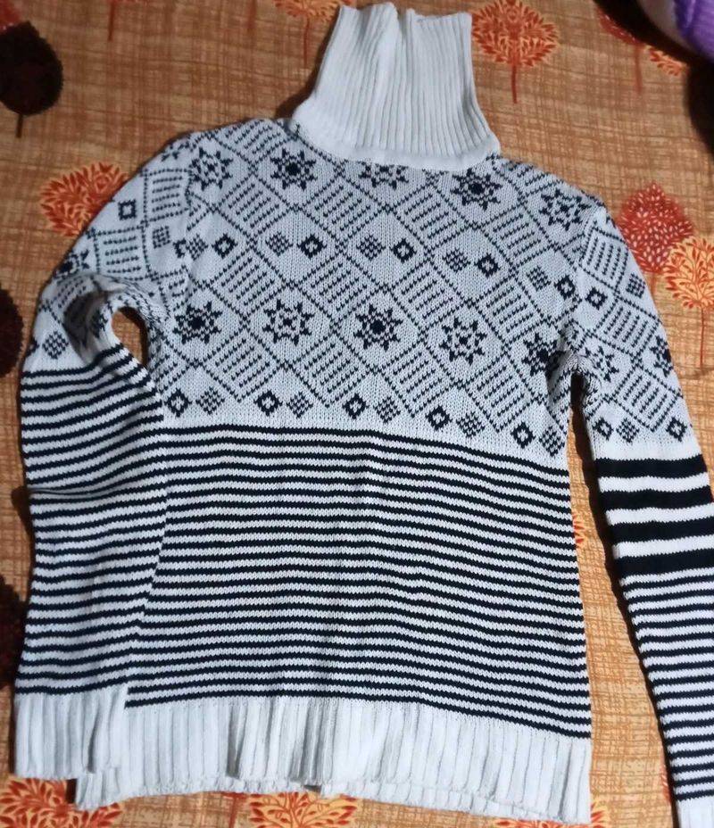 Patterned Turtleneck Sweater