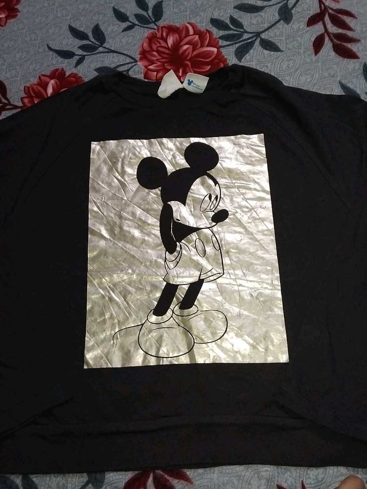 ZARA T- Shirt  (Top)
