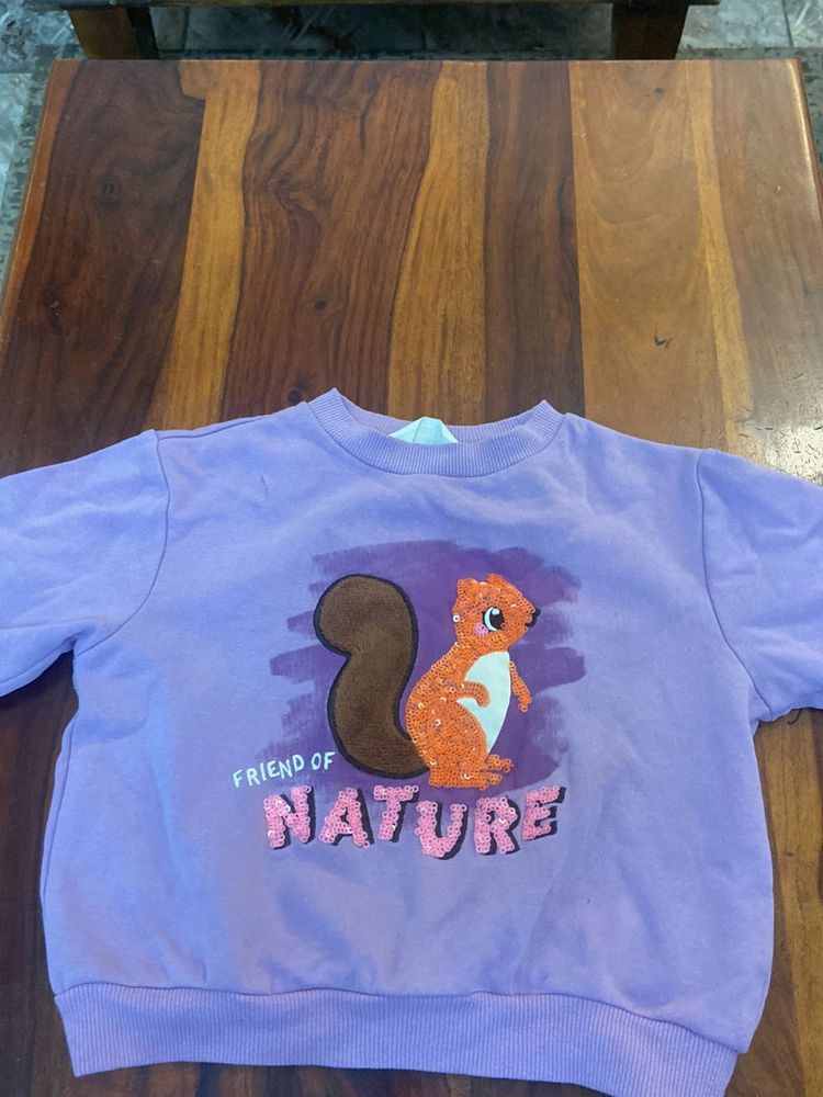 Cute Squirrel Sweatshirt