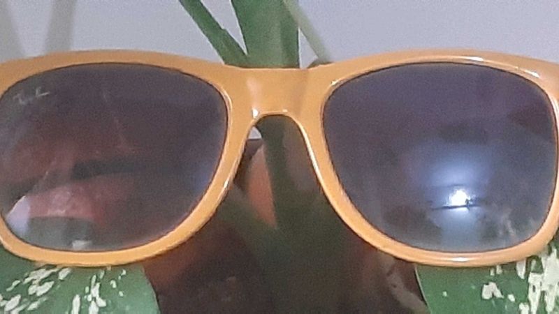 Ray-Ban Sunglasses ( Made in Italy)