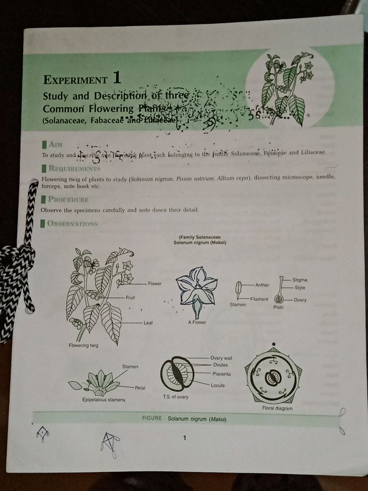 Biology Experiments Class 11