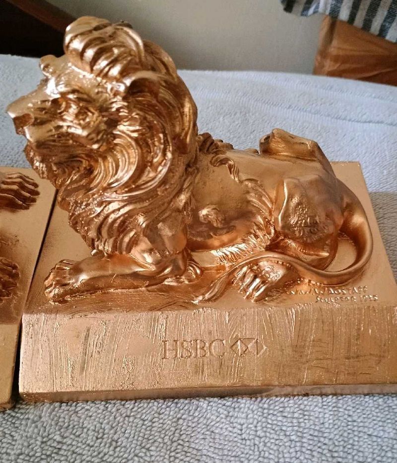 Dubai Lions