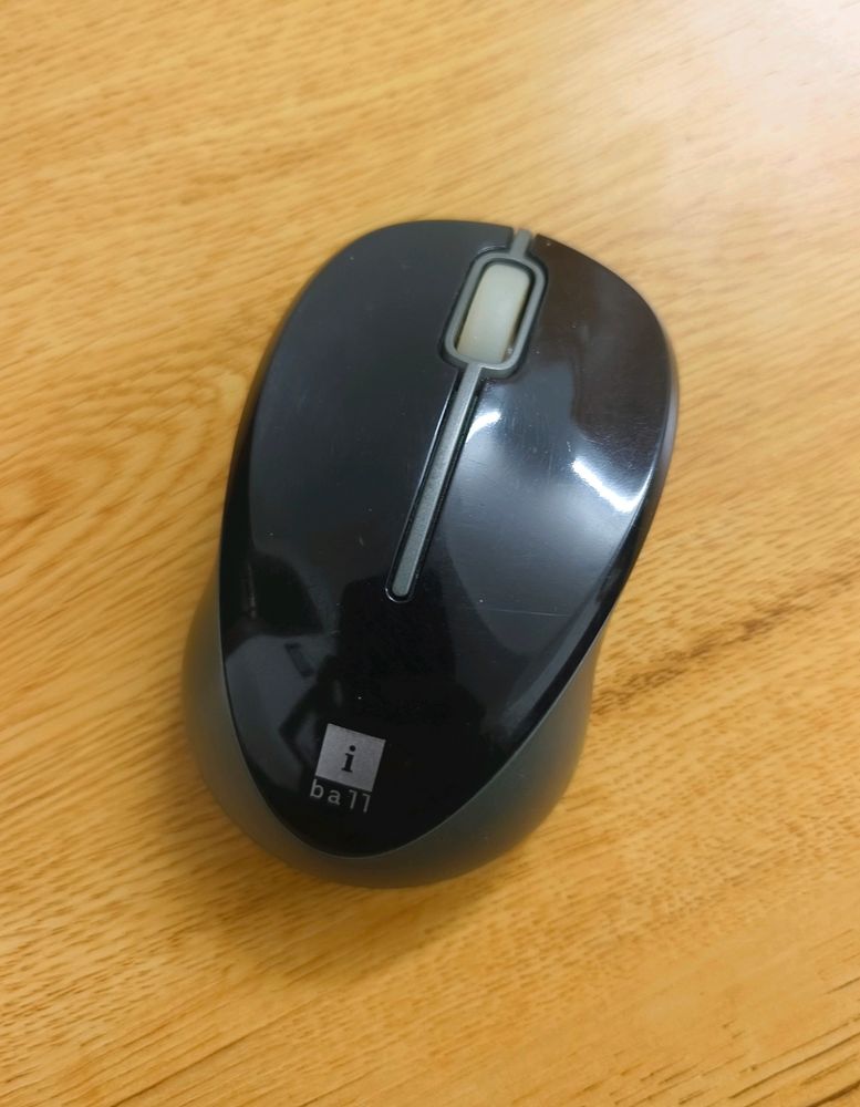 Wire Less Mouse i ball