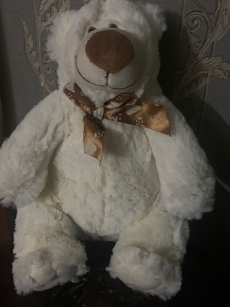 Teddy Bear