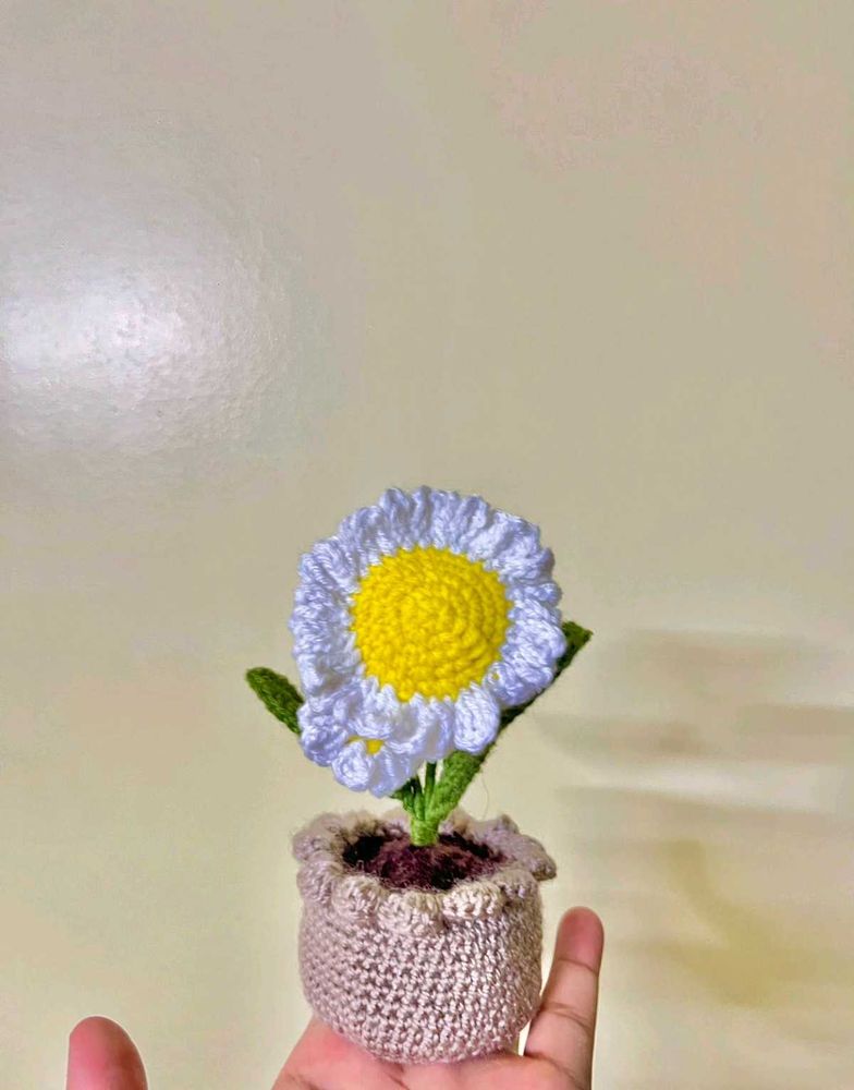 Crochet Flowers Pot