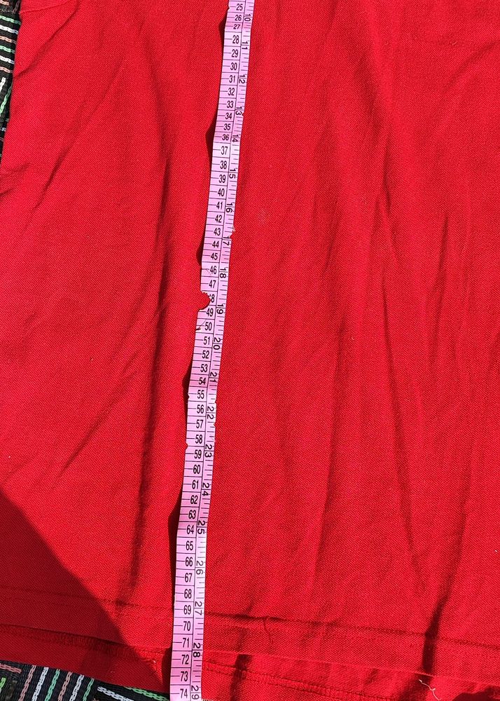 Branded T Shirt For Men