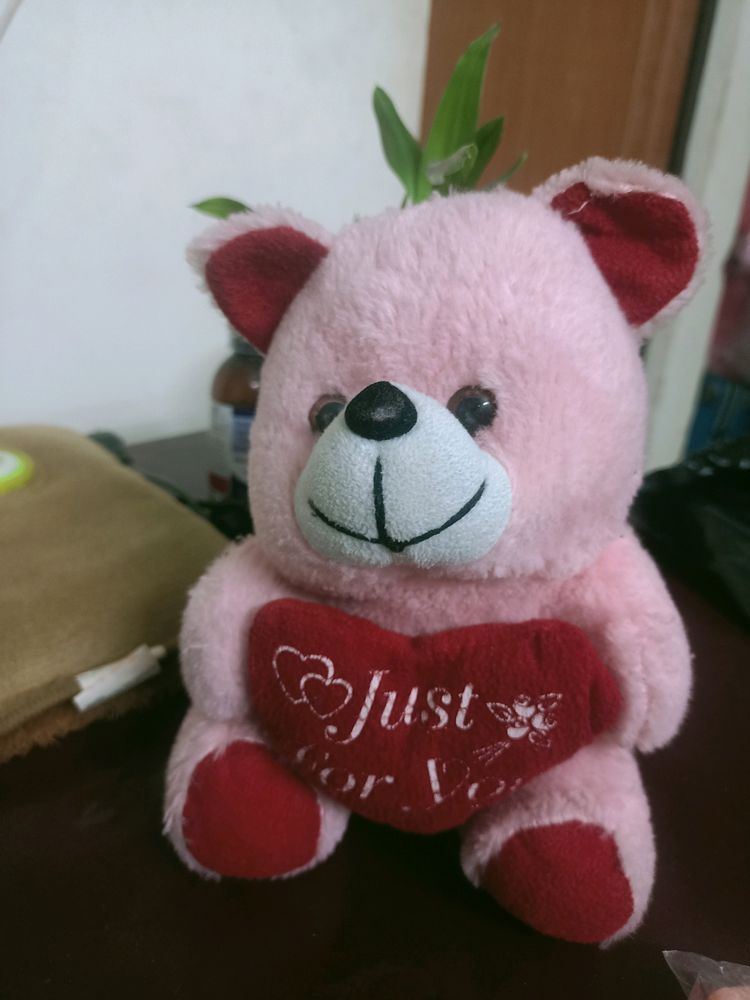 Teddy