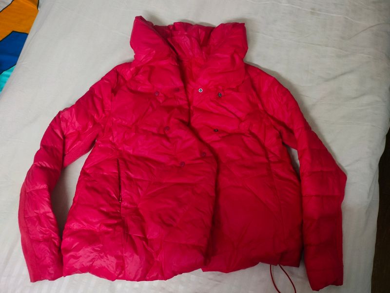 Red Jacket For Valentine&#39;s Day